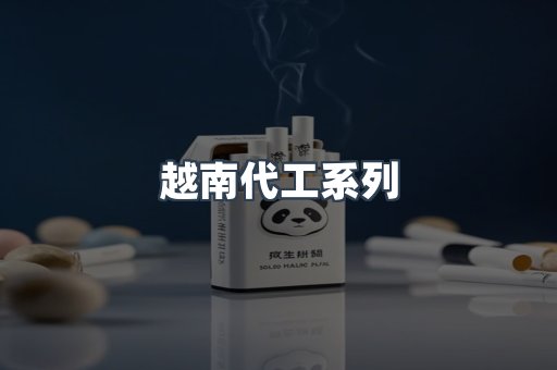 越南代工系列